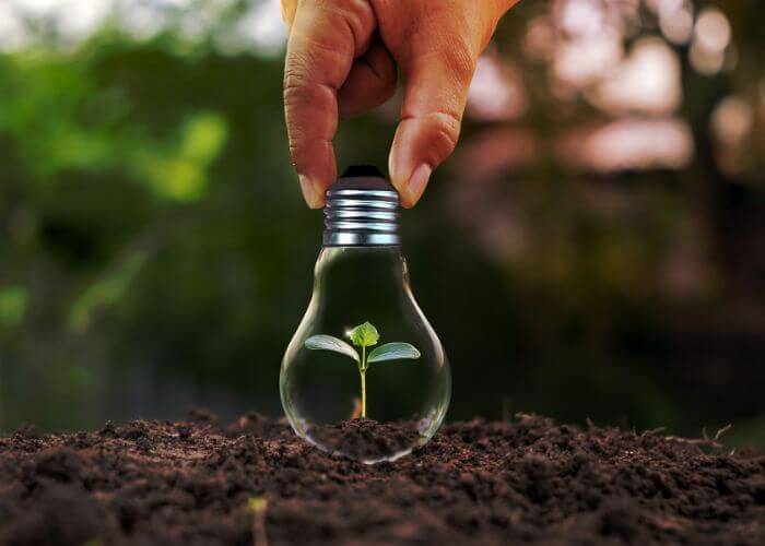 Sustainability and Innovation